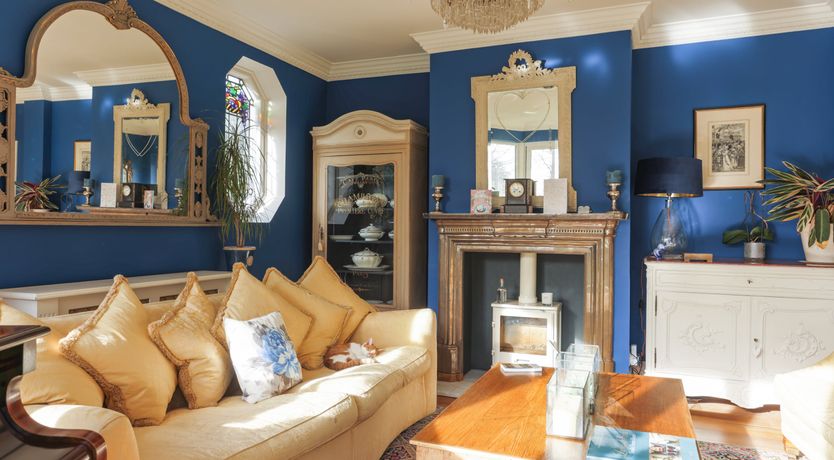 Photo of The Cat's Pyjamas