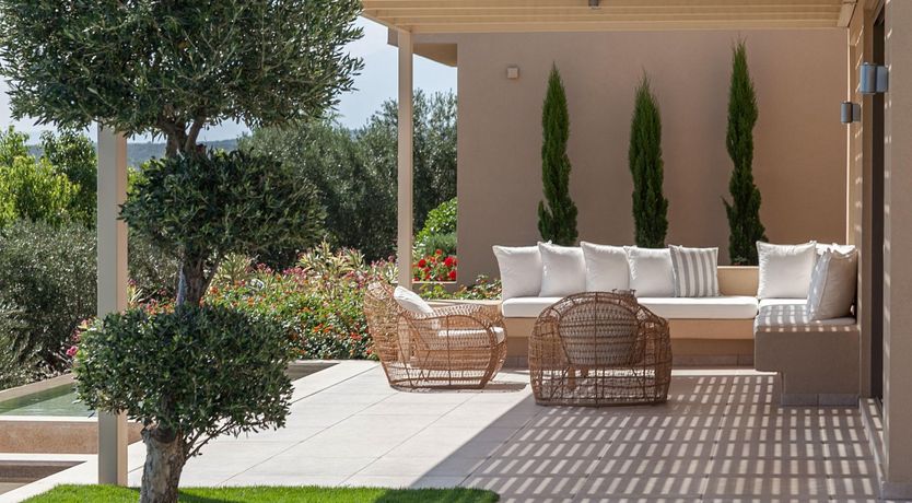 Photo of Roll of the Dice