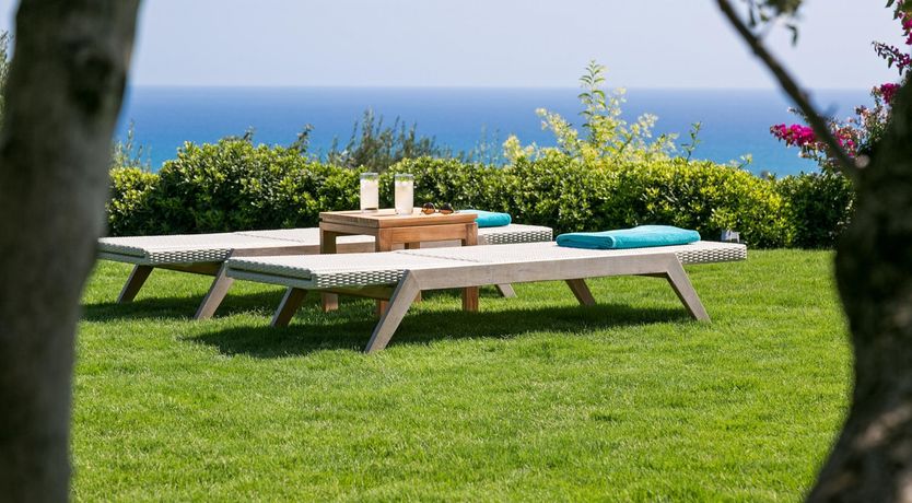 Photo of Roll of the Dice