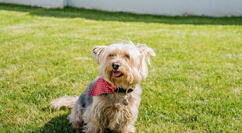 Photo of 4 Bed in Bideford