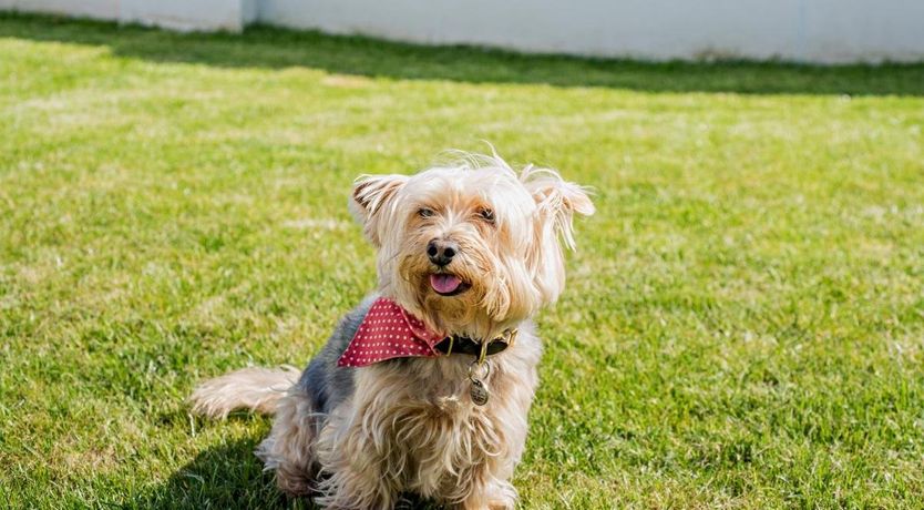 Photo of 4 Bed in Westward Ho