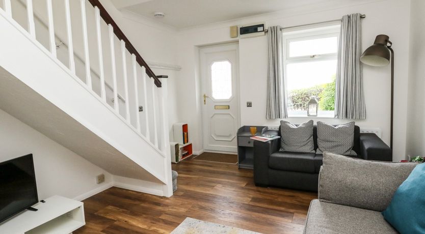 Photo of Little Tern