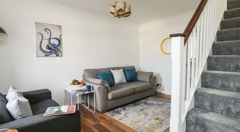 Photo of Little Tern