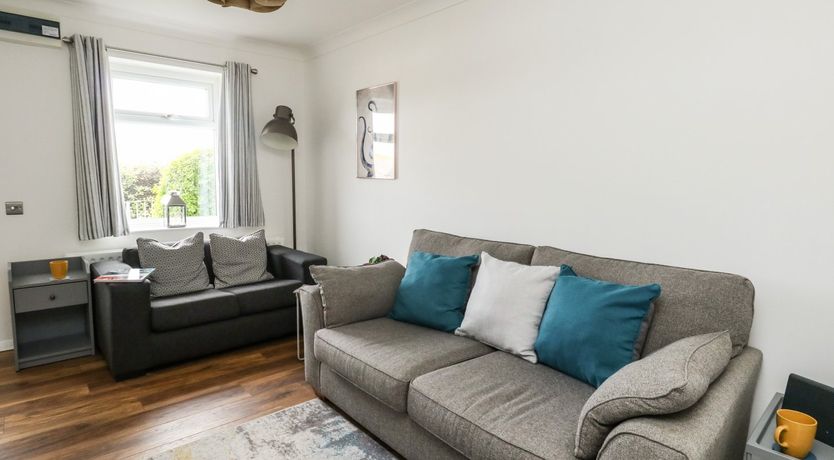 Photo of Little Tern