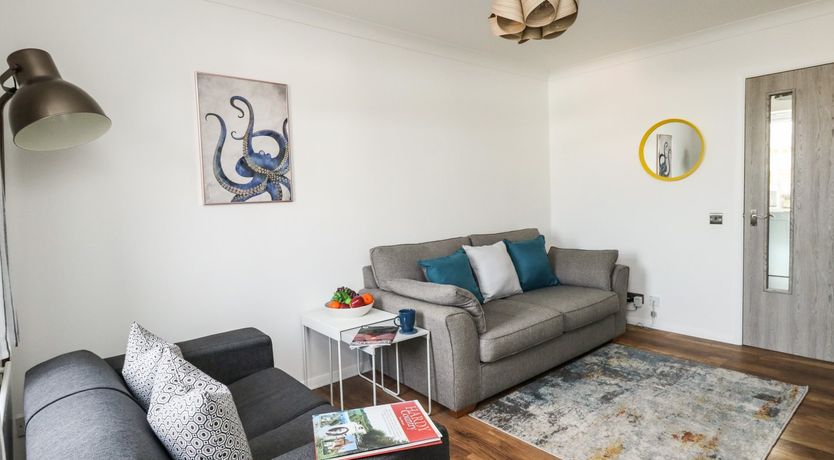 Photo of Little Tern