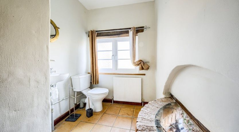 Photo of Back to the Farm