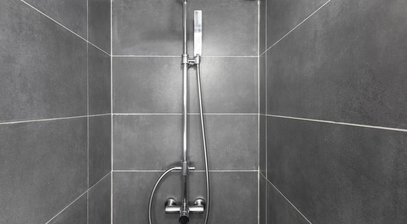 Photo of Silver Starlight