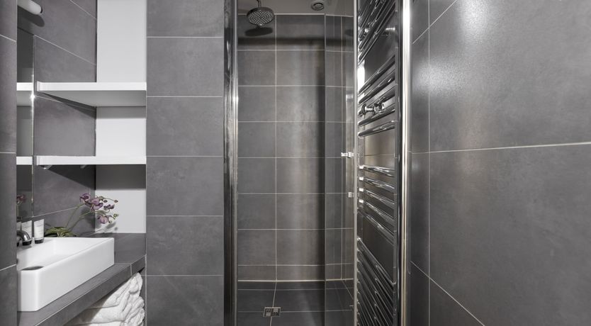 Photo of Silver Starlight