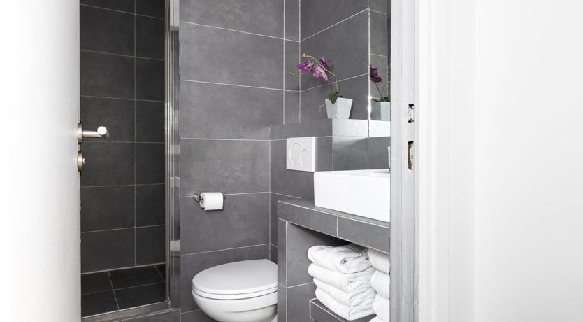 Photo of Silver Starlight