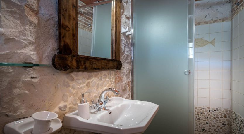 Photo of Homer's Shadow