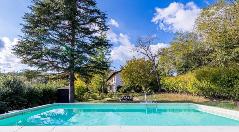 Photo of White Truffle Season