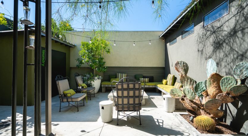 Photo of Curio Pajaro