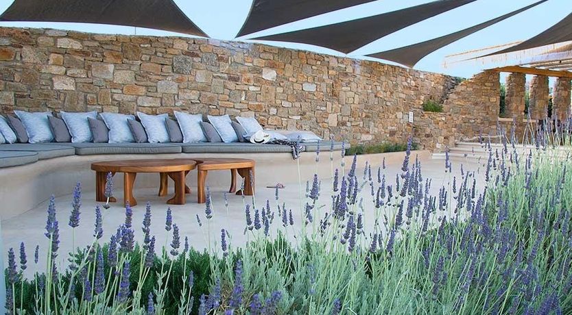 Photo of Hedonist's Rest