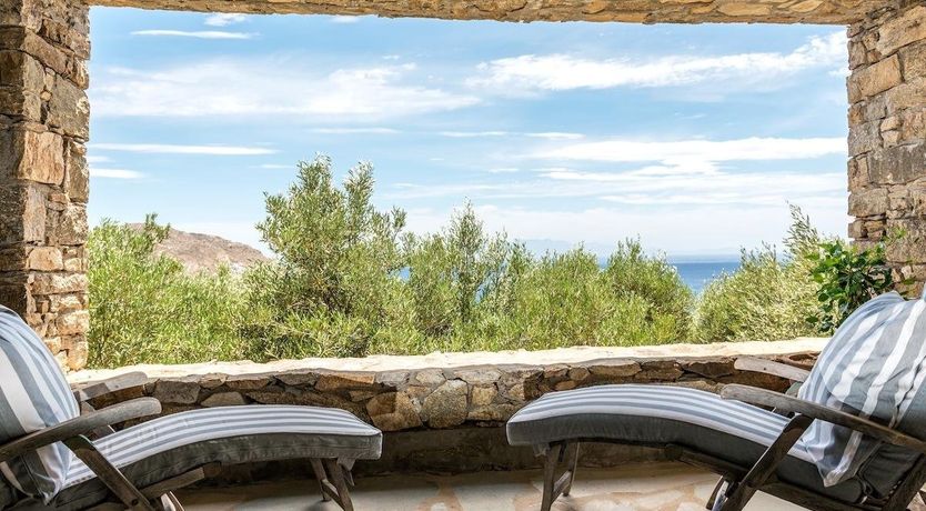 Photo of Dappled Palms