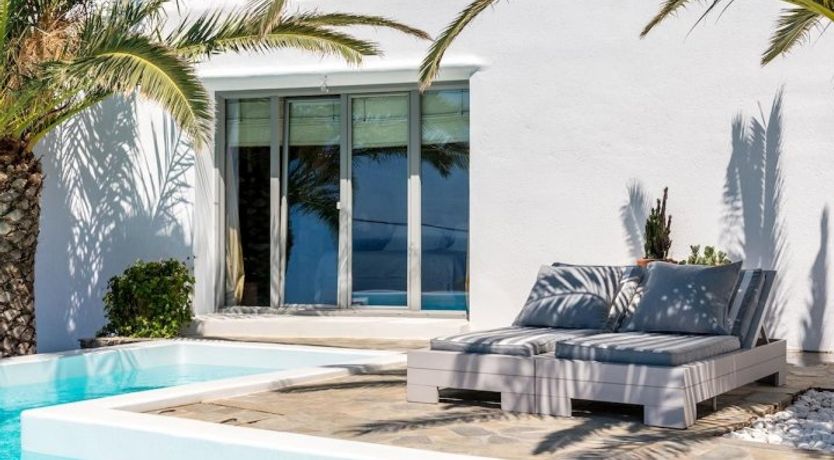 Photo of Dappled Palms