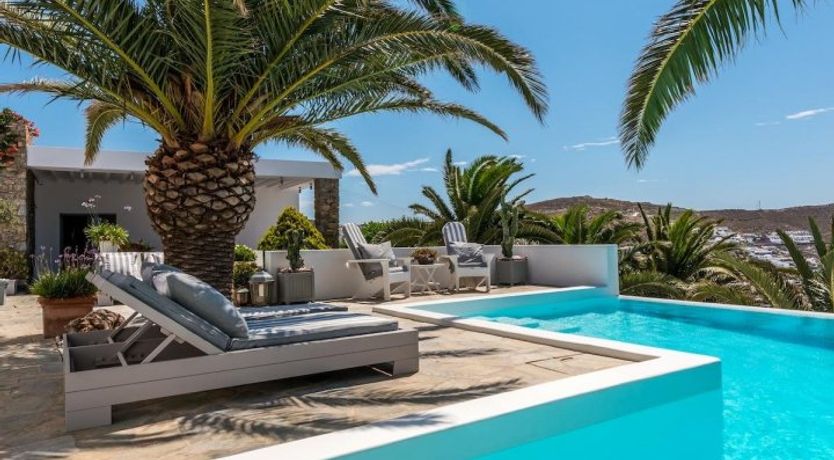 Photo of Dappled Palms