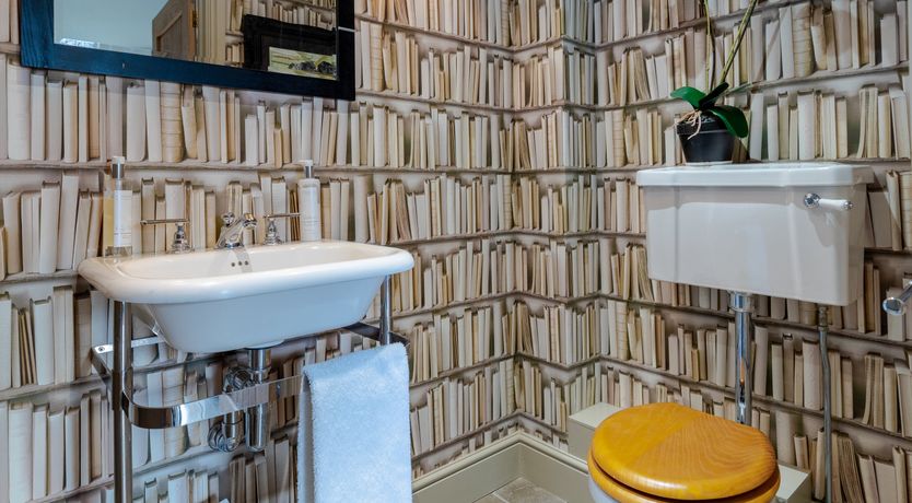 Photo of A Rose by Any Name