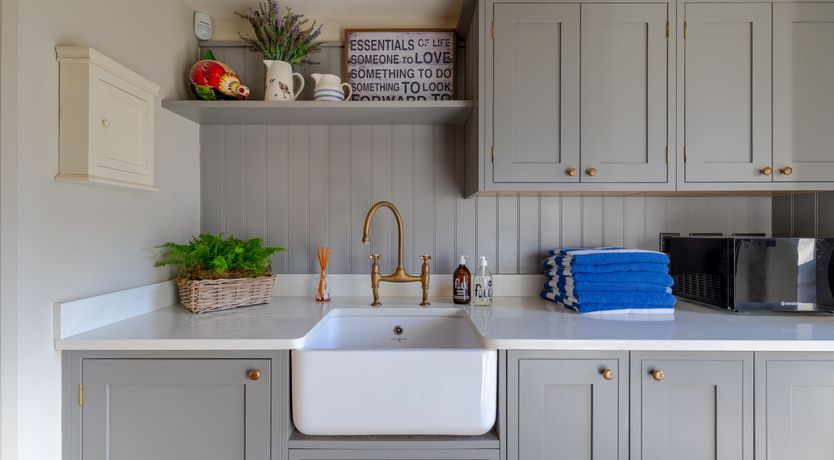 Photo of A Rose by Any Name