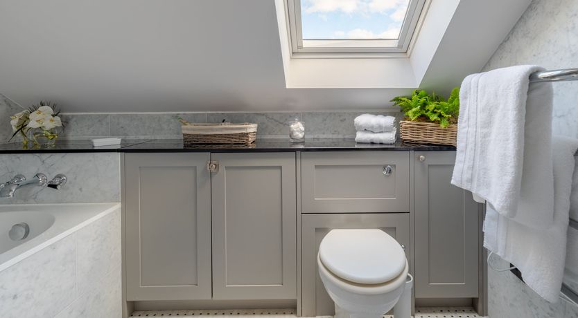 Photo of A Rose by Any Name