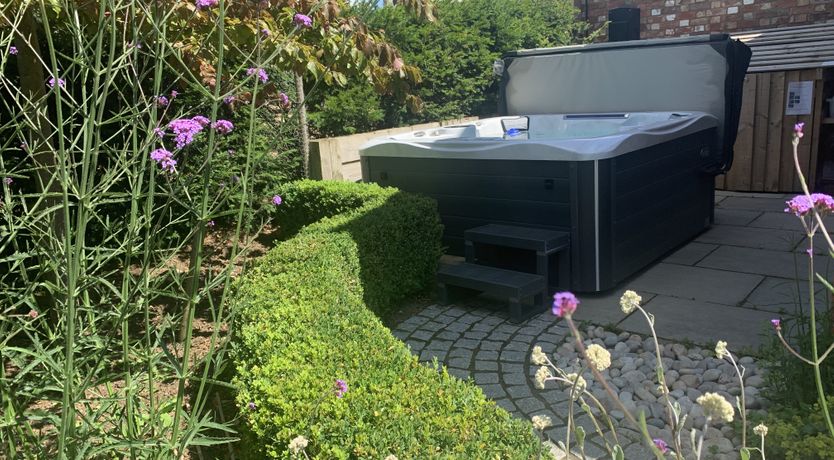 Photo of A Rose by Any Name