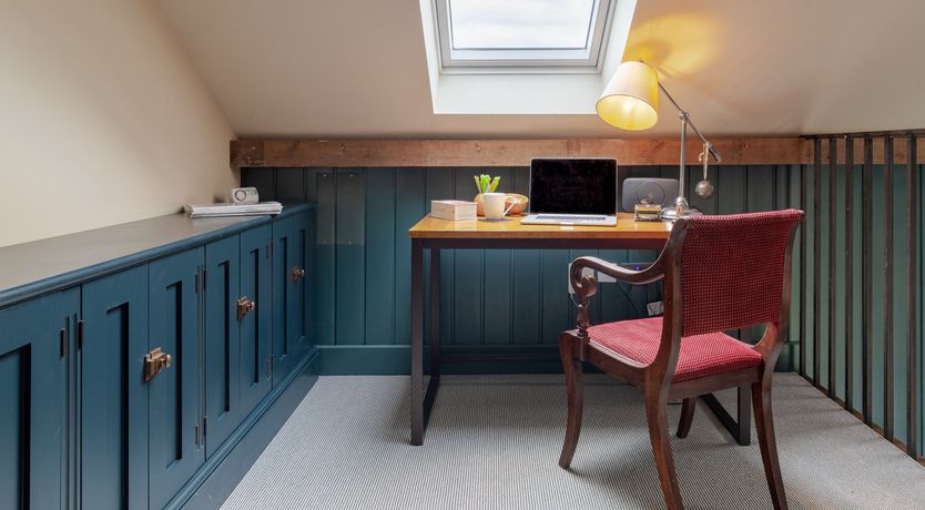 Photo of A Rose by Any Name