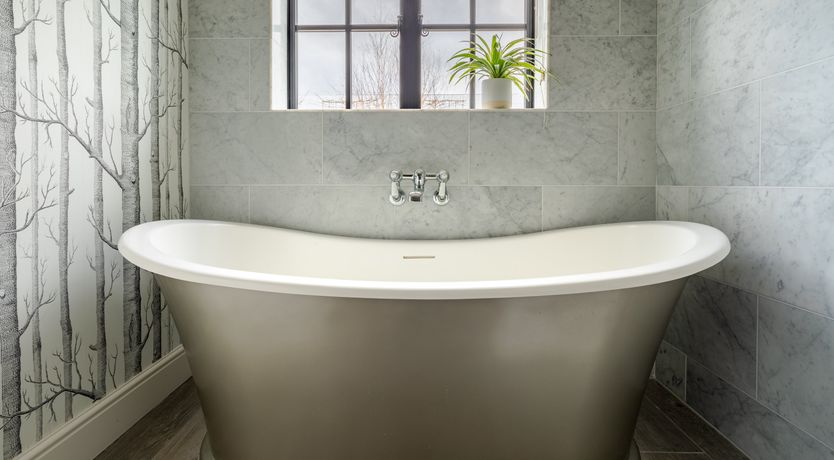 Photo of A Rose by Any Name