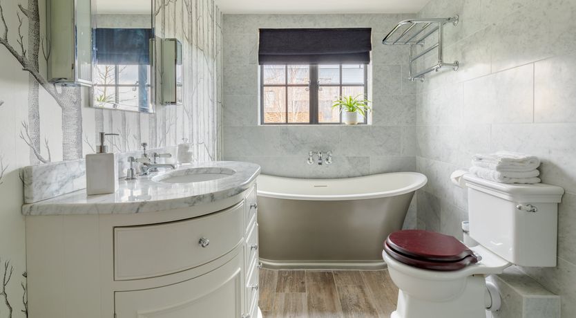 Photo of A Rose by Any Name