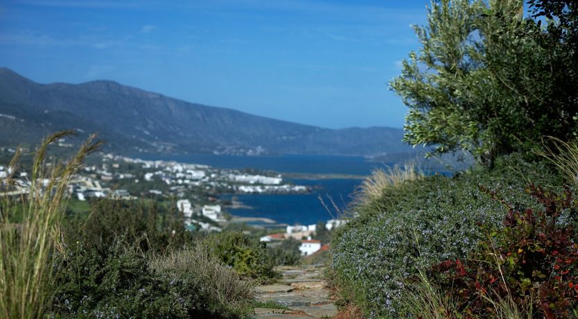 Photo of Pair of Aces