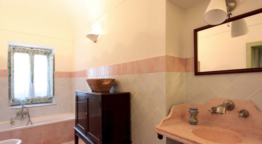 Photo of Pink Oleanders