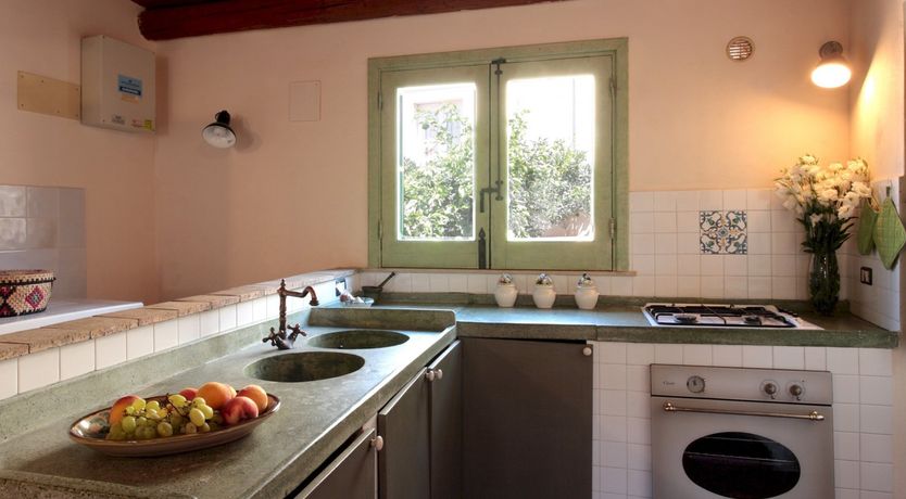 Photo of Pink Oleanders