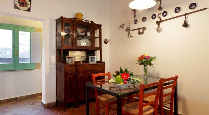 Photo of Pink Oleanders