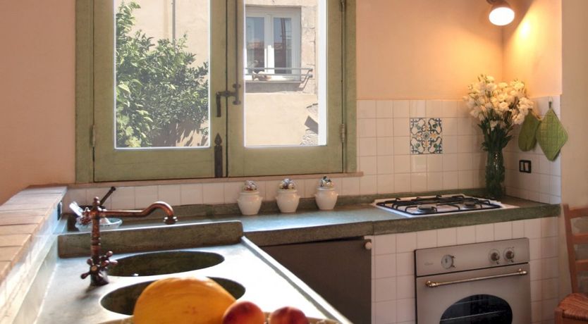 Photo of Pink Oleanders