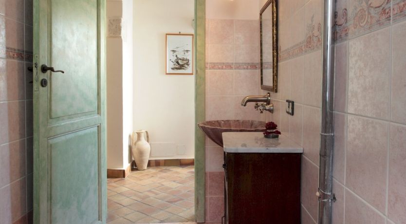 Photo of Pink Oleanders