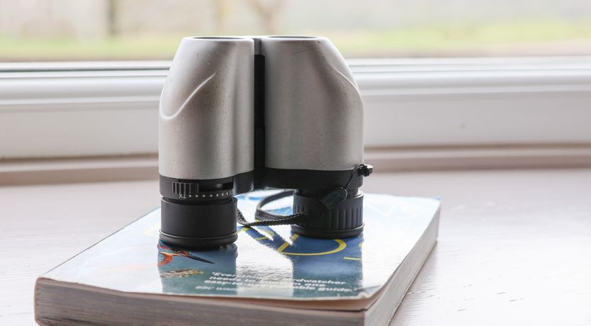 Photo of The Cottage