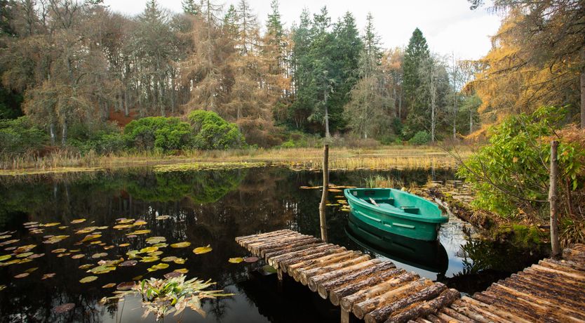 Photo of The Bungalow