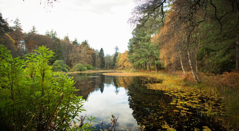 Photo of The Bungalow