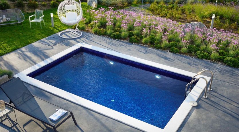 Photo of Fresh Peppermint