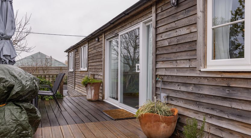 Photo of Dew on the Vine