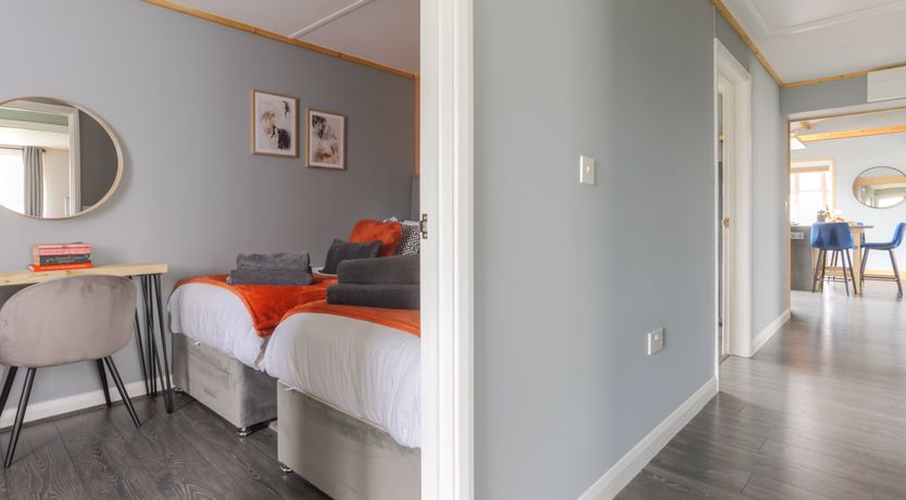 Photo of Dew on the Vine