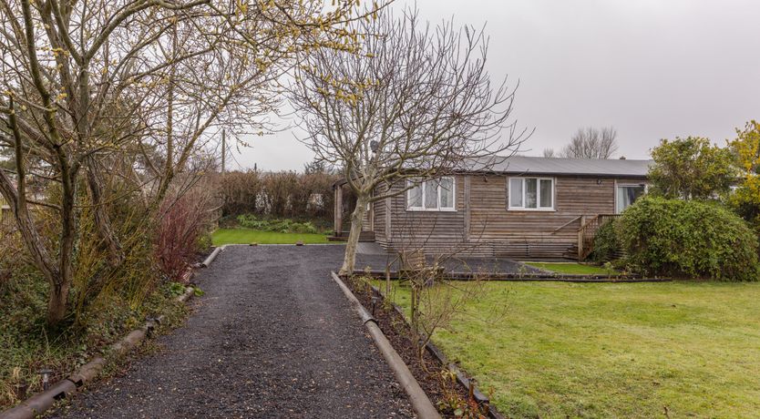 Photo of Dew on the Vine