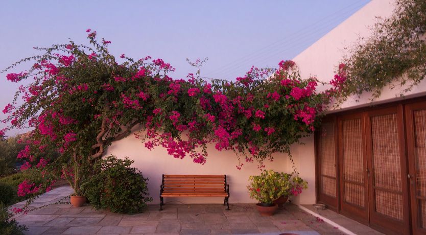 Photo of The Potter's Wheel