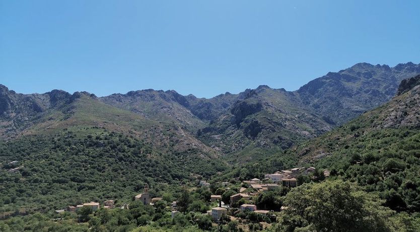 Photo of Where Eagles Soar