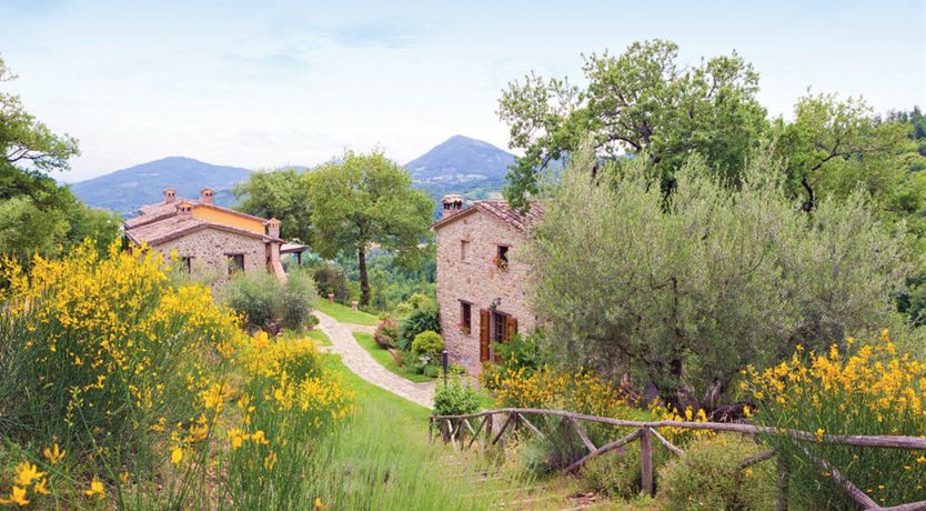 Photo of The Waterfall Effect