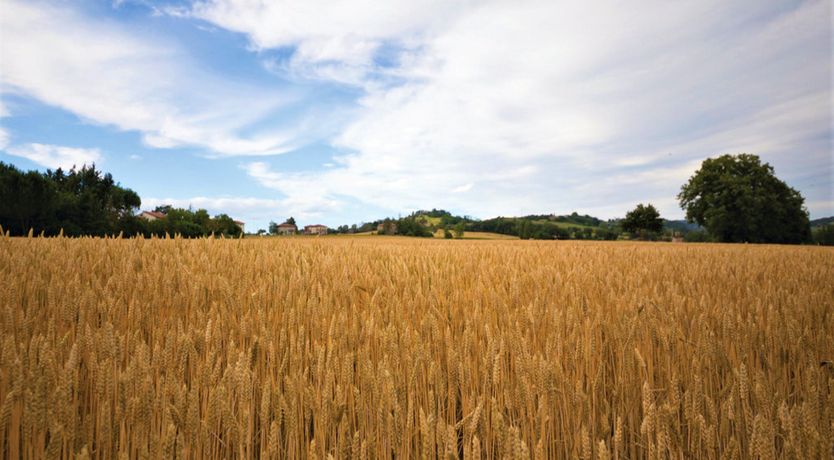 Photo of The Waterfall Effect