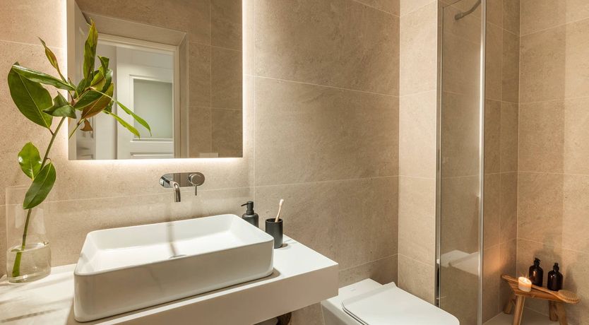 Photo of Sorolla's Muse