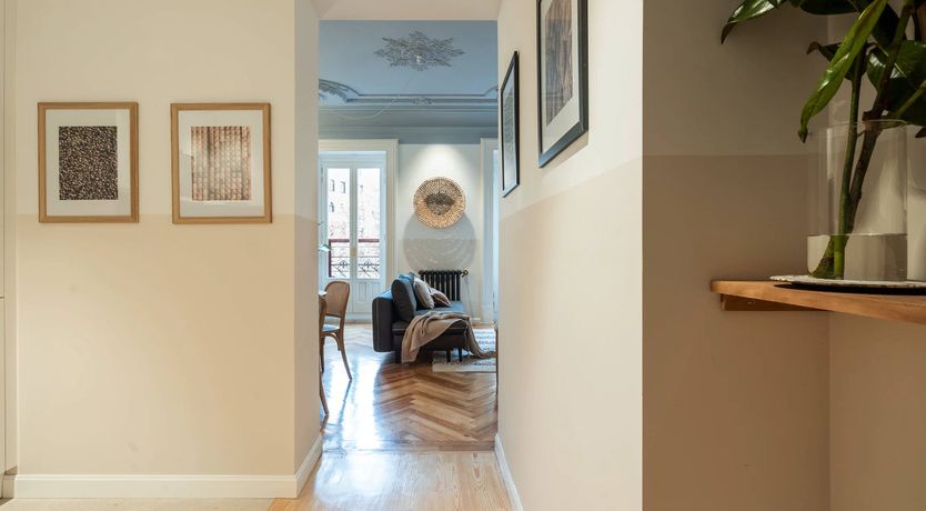 Photo of Sorolla's Muse