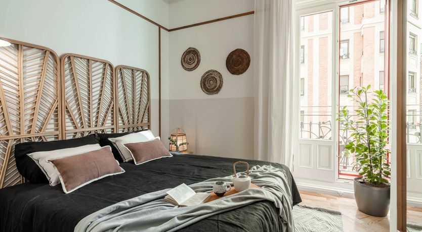 Photo of Sorolla's Muse