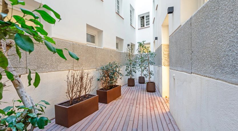 Photo of Sorolla's Muse