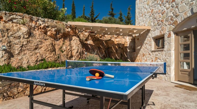 Photo of Elenora's Falcon