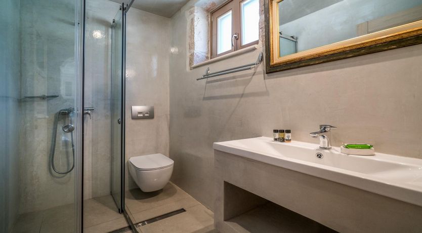 Photo of Elenora's Falcon